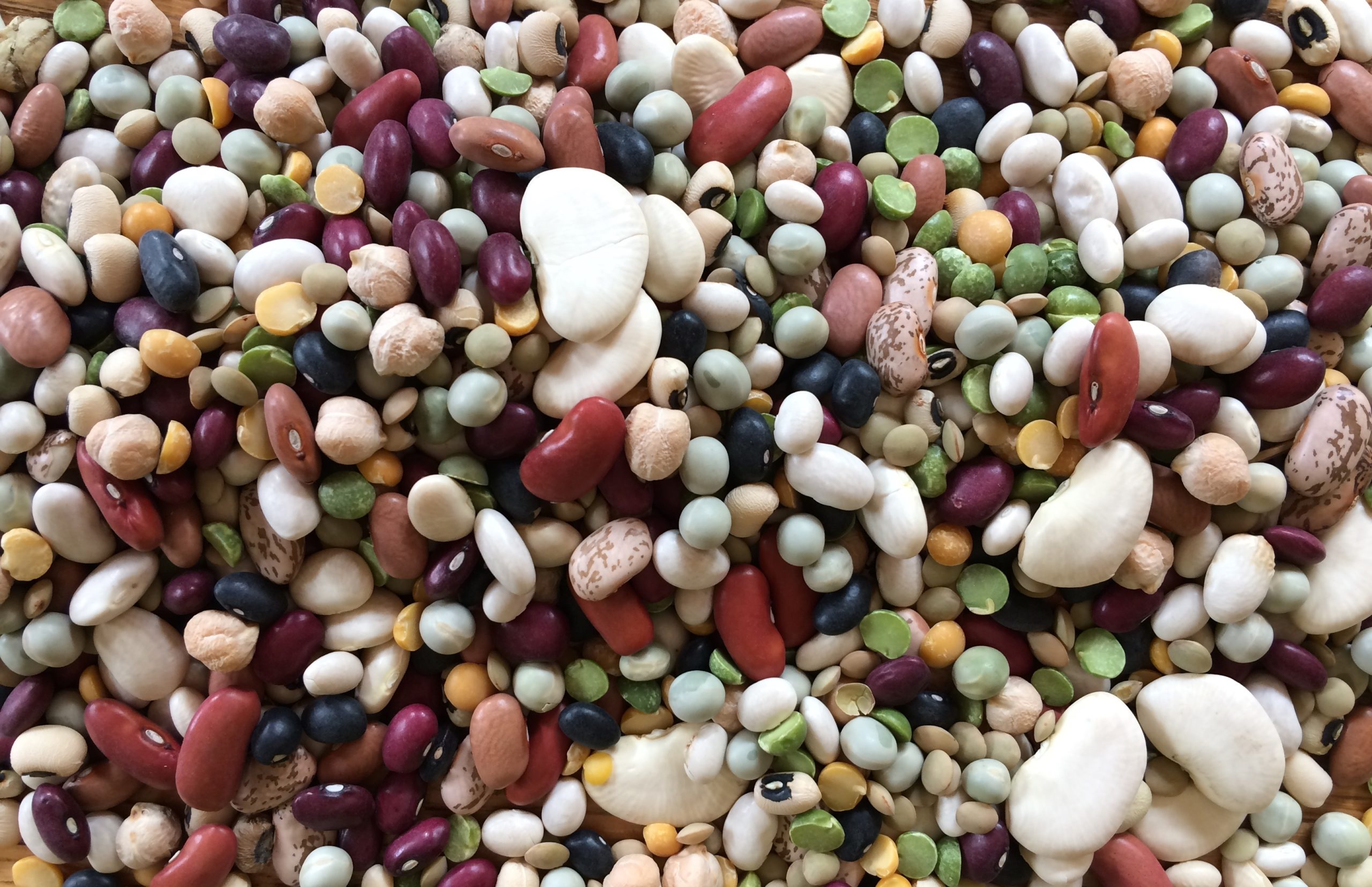 assorted dried bean mix