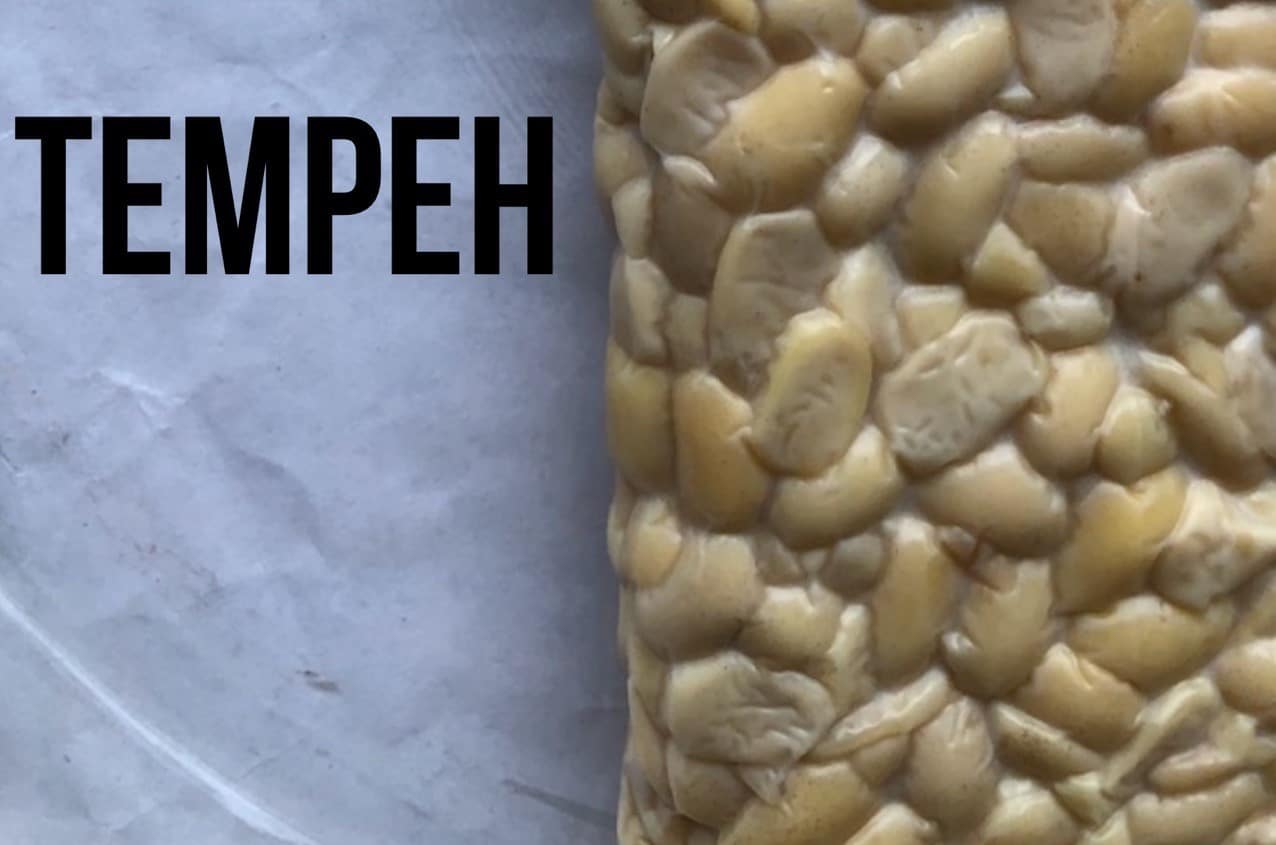 uncooked tempeh